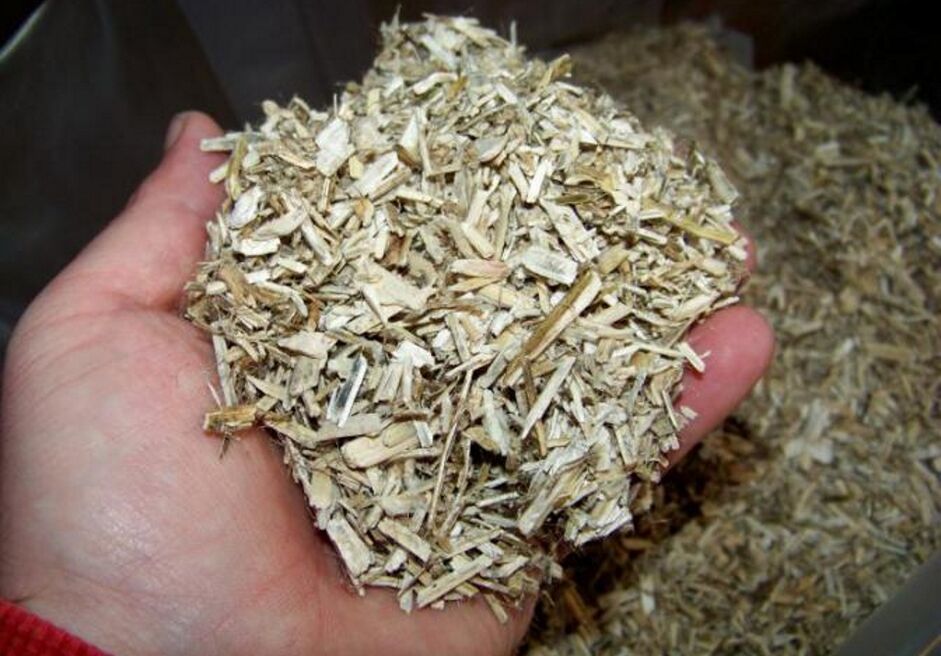Aspen bark to prepare medicinal tincture for prostatitis in men