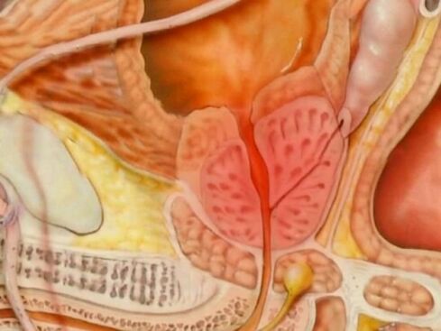 A person's type of healthy prostate